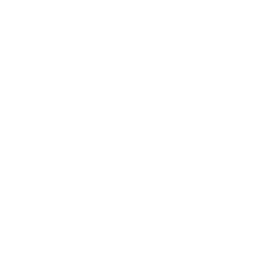 Eagle Logo White